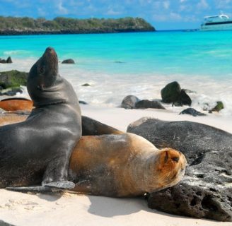 Islas Galápagos: historia, origen, ubicación, turismo, playas y más