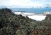 Isla Rey Jorge: lo que aun no sabes sobre esta isla de la Antártida