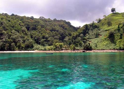 Isla del Coco: historia, ubicación, clima, turismo, flora, fauna y más